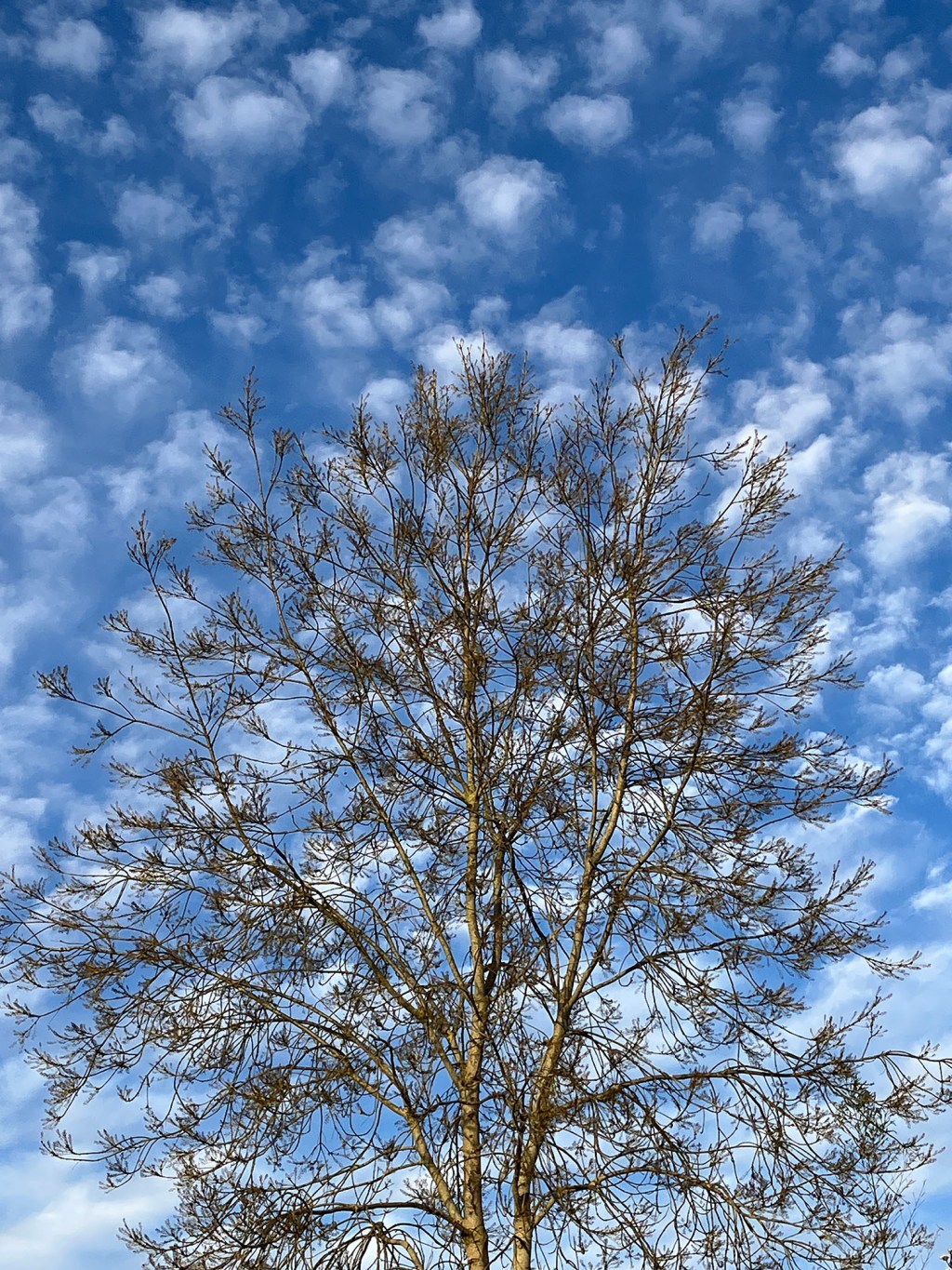 Virga Gallery launches on Sunday, 15&nbsp;March