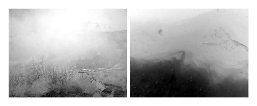 Conversations with the Sun ©2025 Linda Alterwitz