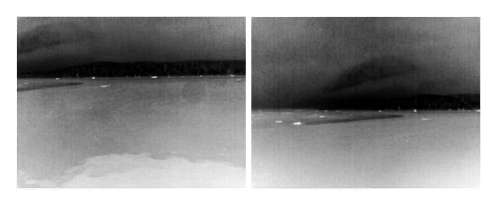 Conversations with the Sun ©2025 Linda Alterwitz