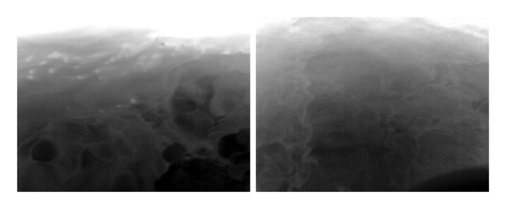 Conversations with the Sun ©2025 Linda Alterwitz