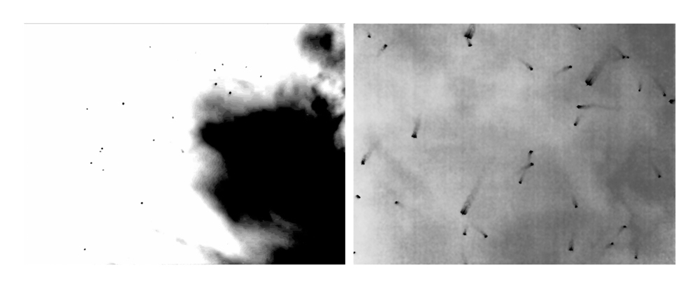 Conversations with the Sun ©2025 Linda Alterwitz