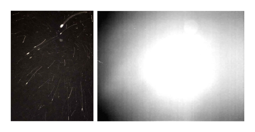 Conversations with the Sun ©2025 Linda Alterwitz