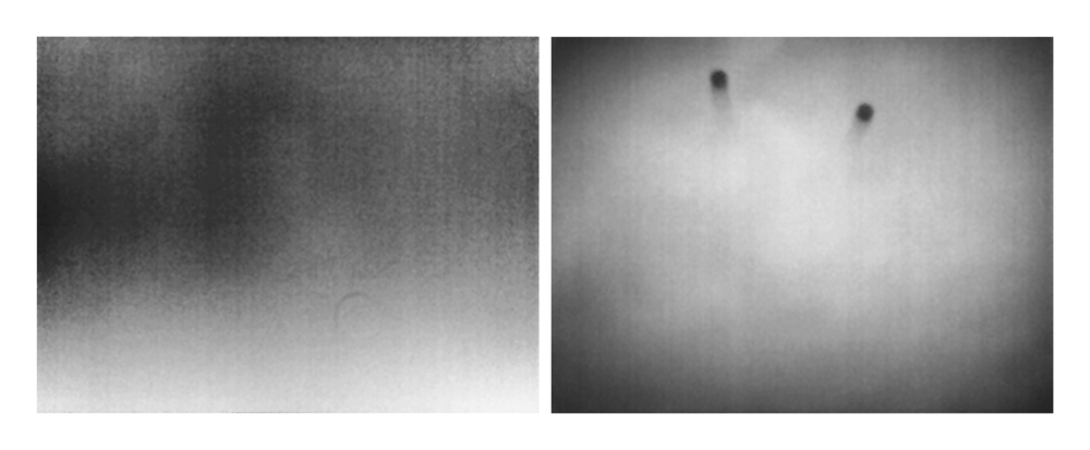 Conversations with the Sun ©2025 Linda Alterwitz