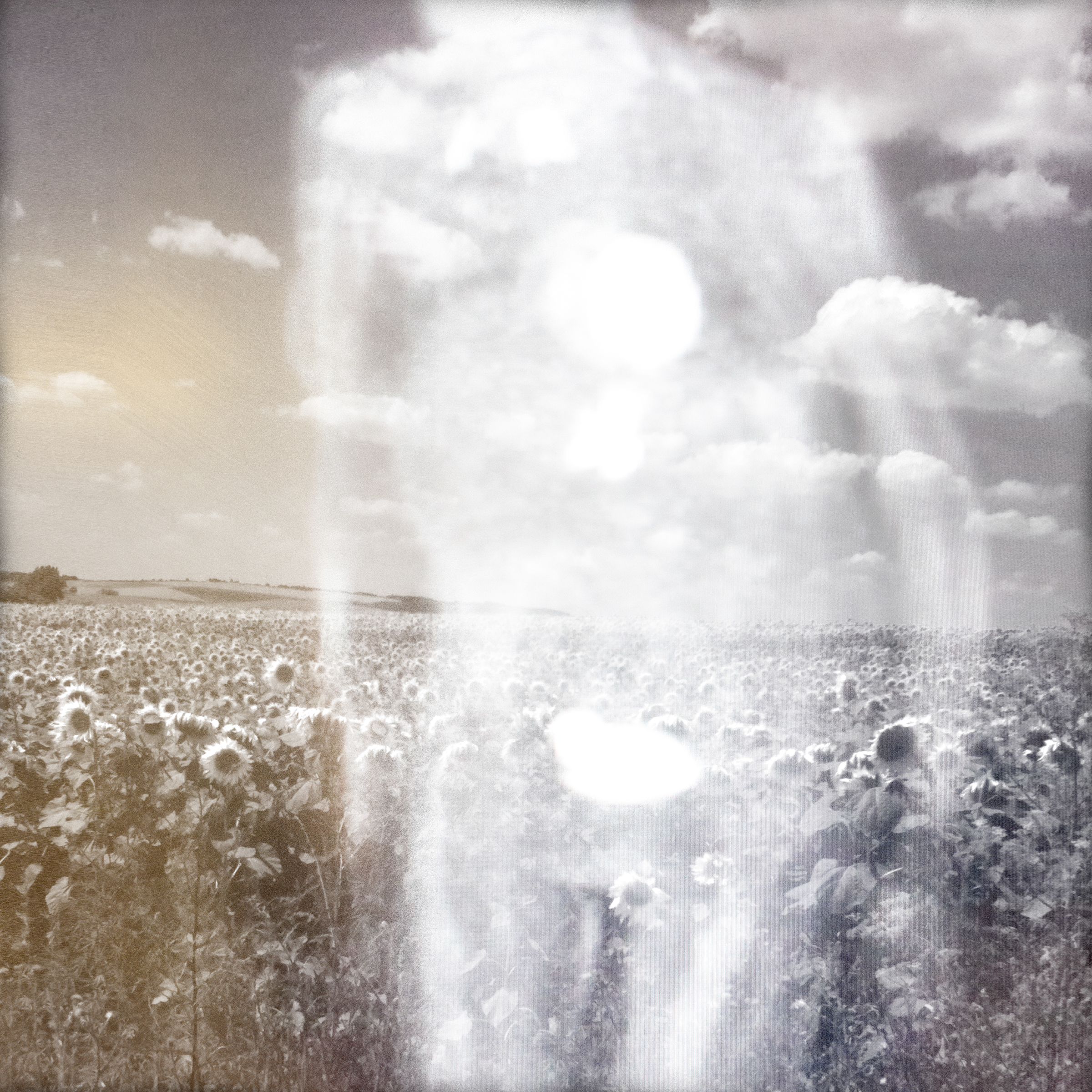 While I Am Still #13 ©2026 Linda Alterwitz