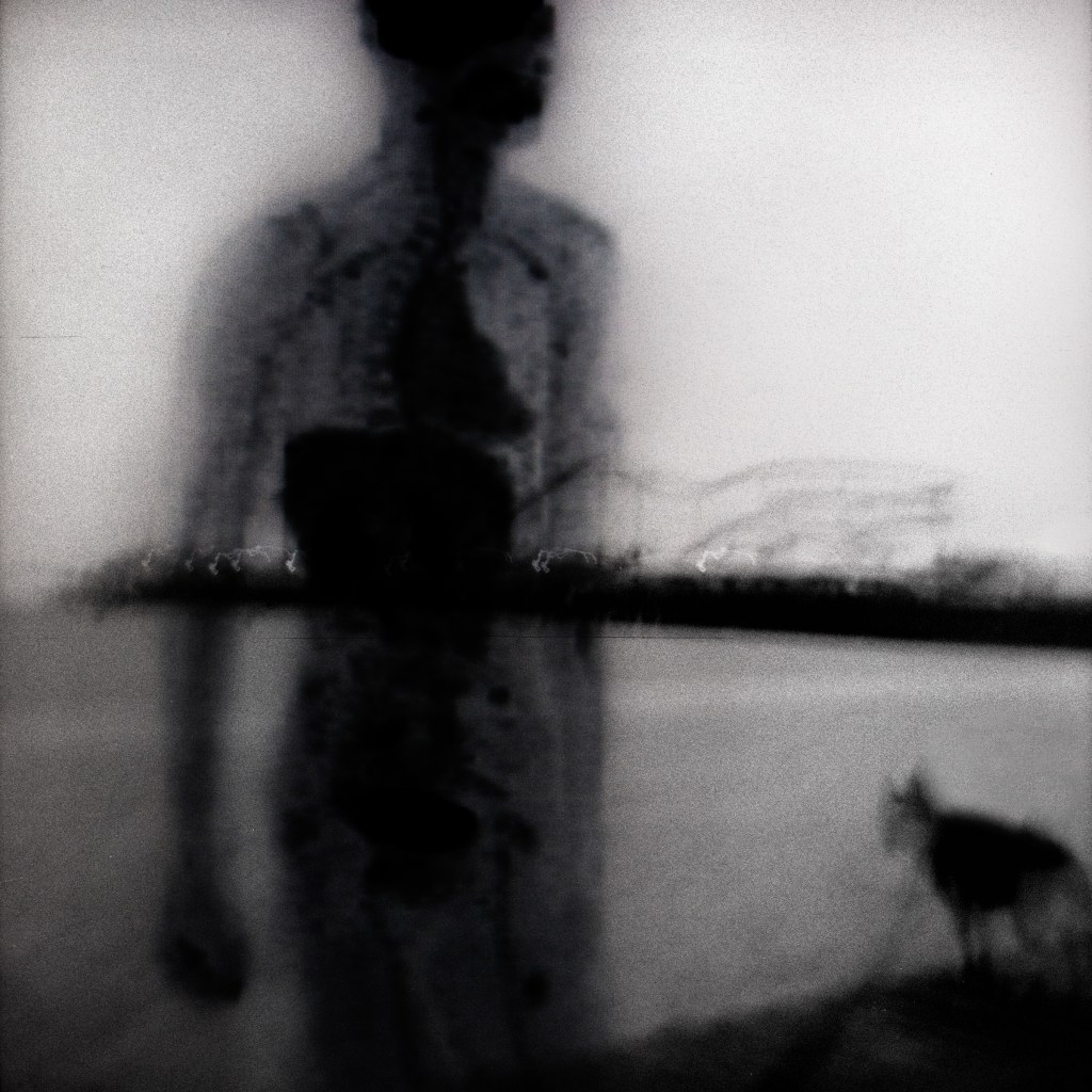 While I Am Still #16 ©2026 Linda Alterwitz