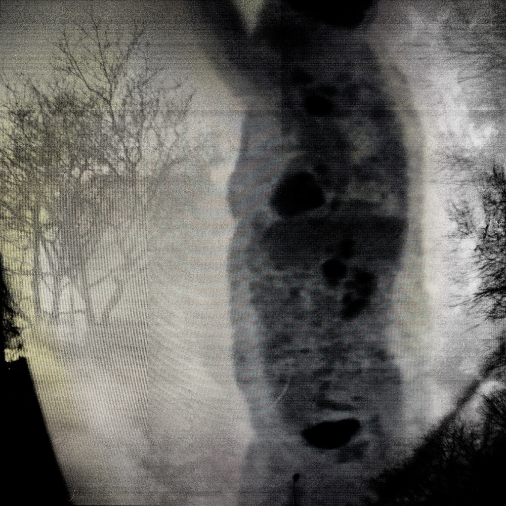 While I Am Still #26 ©2026 Linda Alterwitz