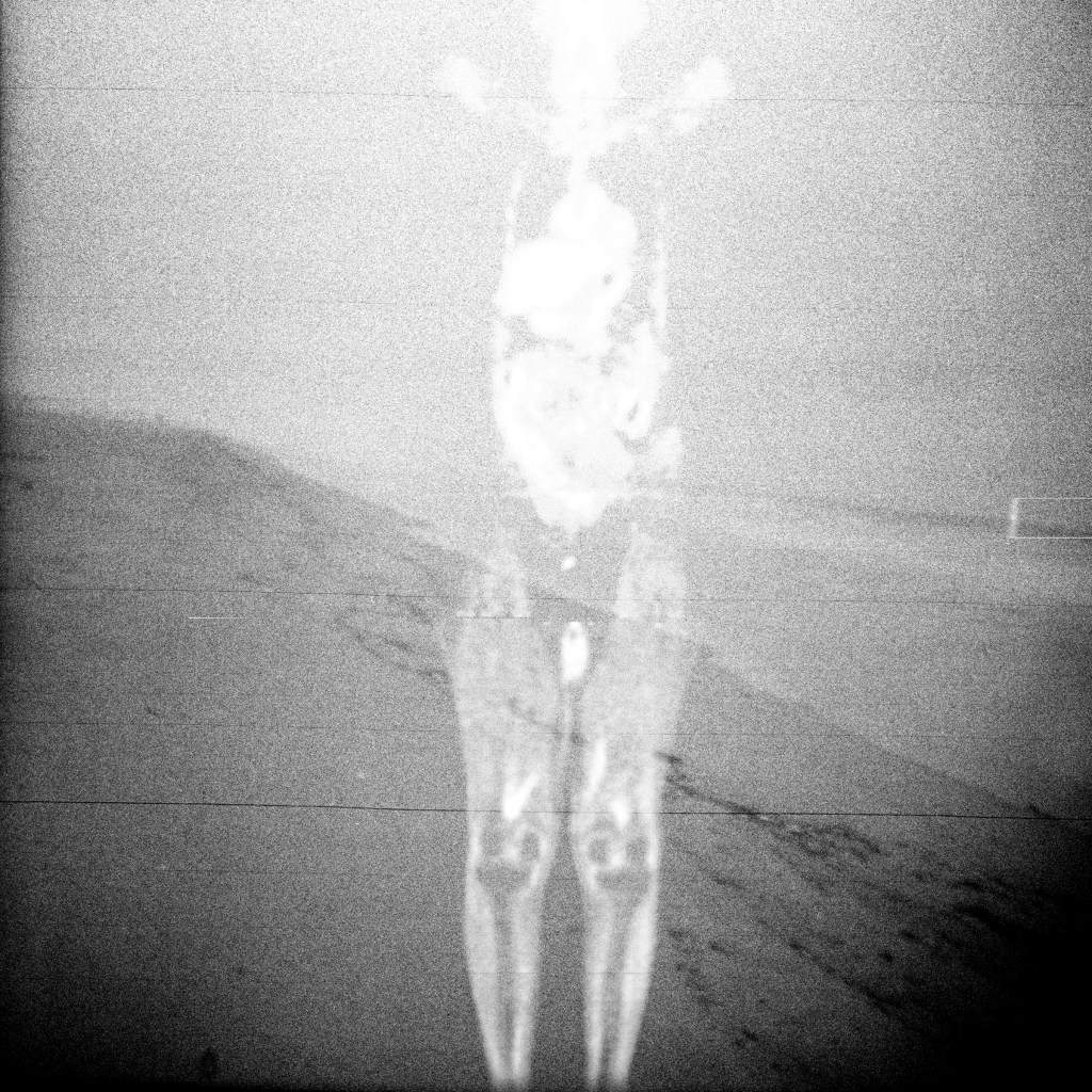 While I Am Still #3 ©2026 Linda Alterwitz