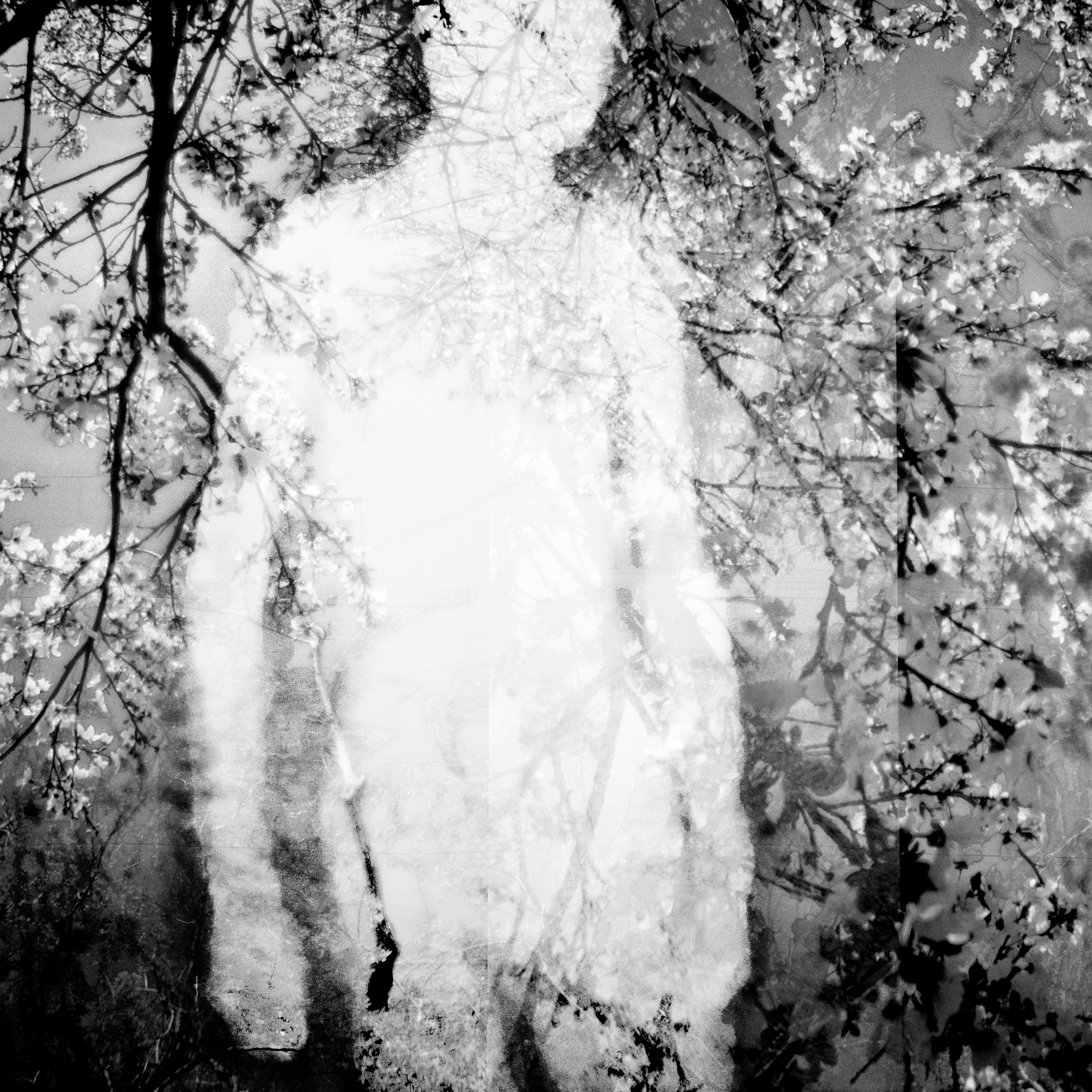 While I Am Still #30 ©2026 Linda Alterwitz