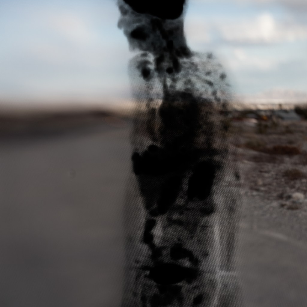 While I Am Still #37 ©2026 Linda Alterwitz