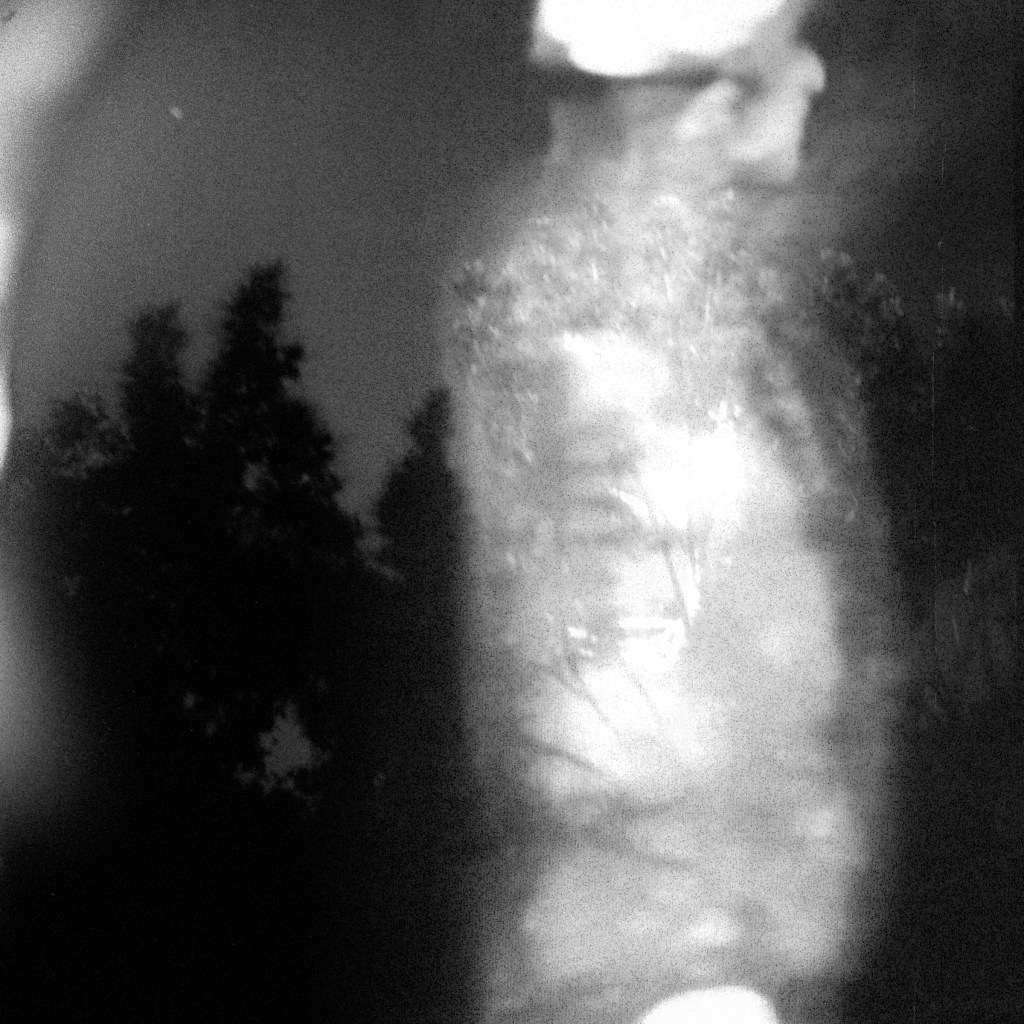 While I Am Still #39 ©2026 Linda Alterwitz