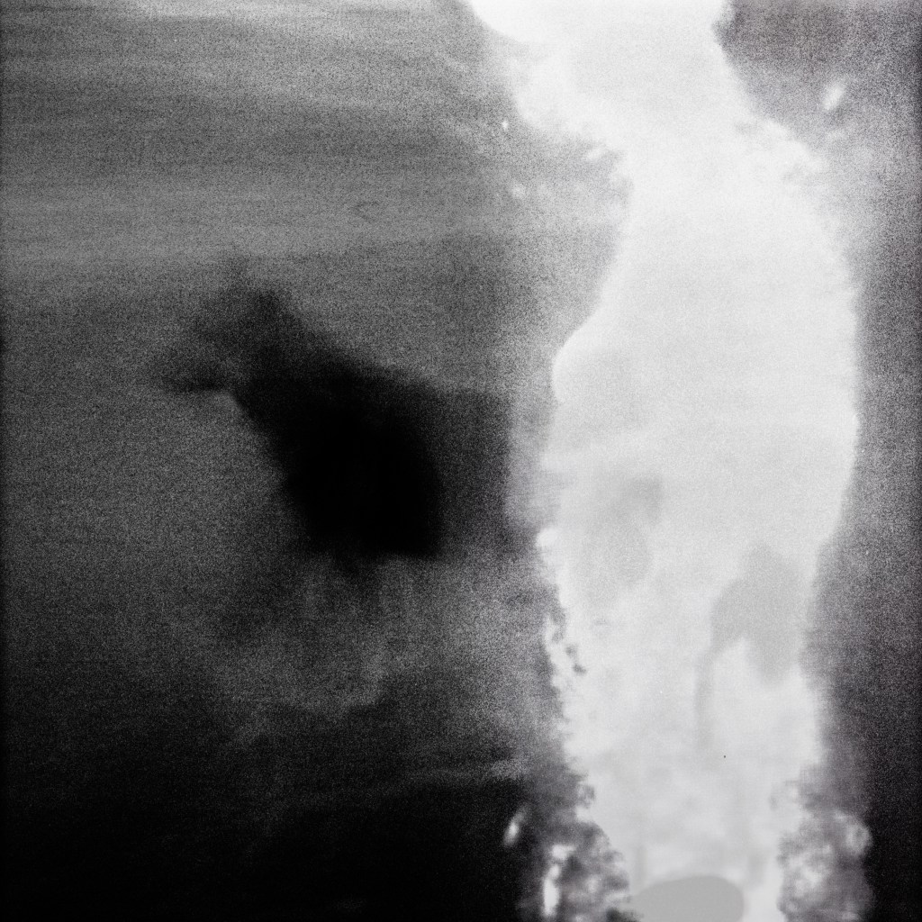 While I Am Still #40 ©2026 Linda Alterwitz