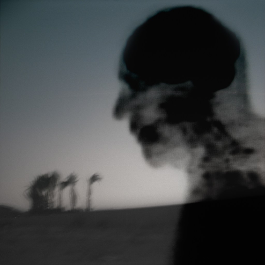 While I Am Still #41 ©2026 Linda Alterwitz