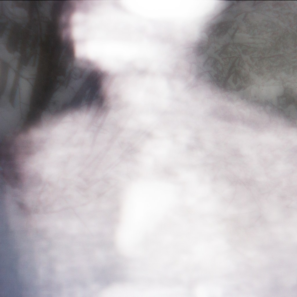 While I Am Still #43 ©2026 Linda Alterwitz