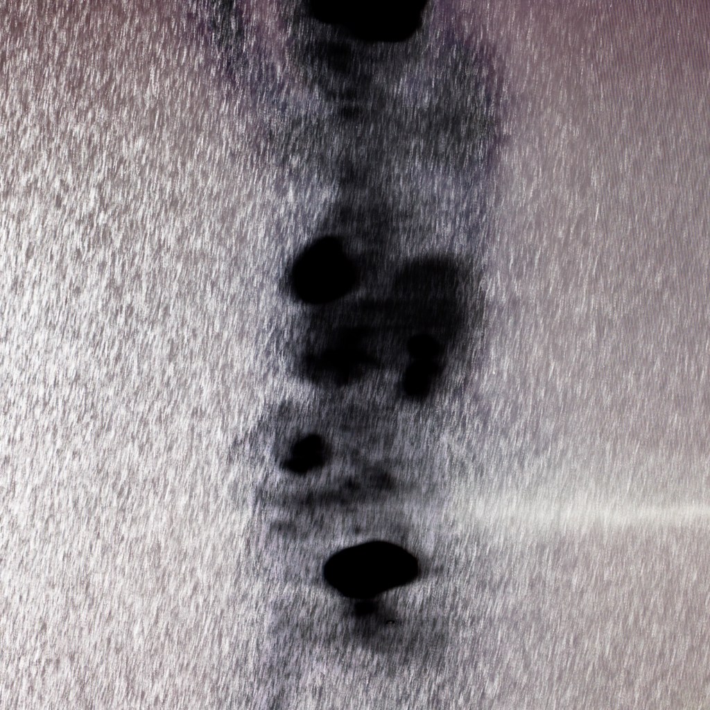 While I Am Still #48 ©2026 Linda Alterwitz