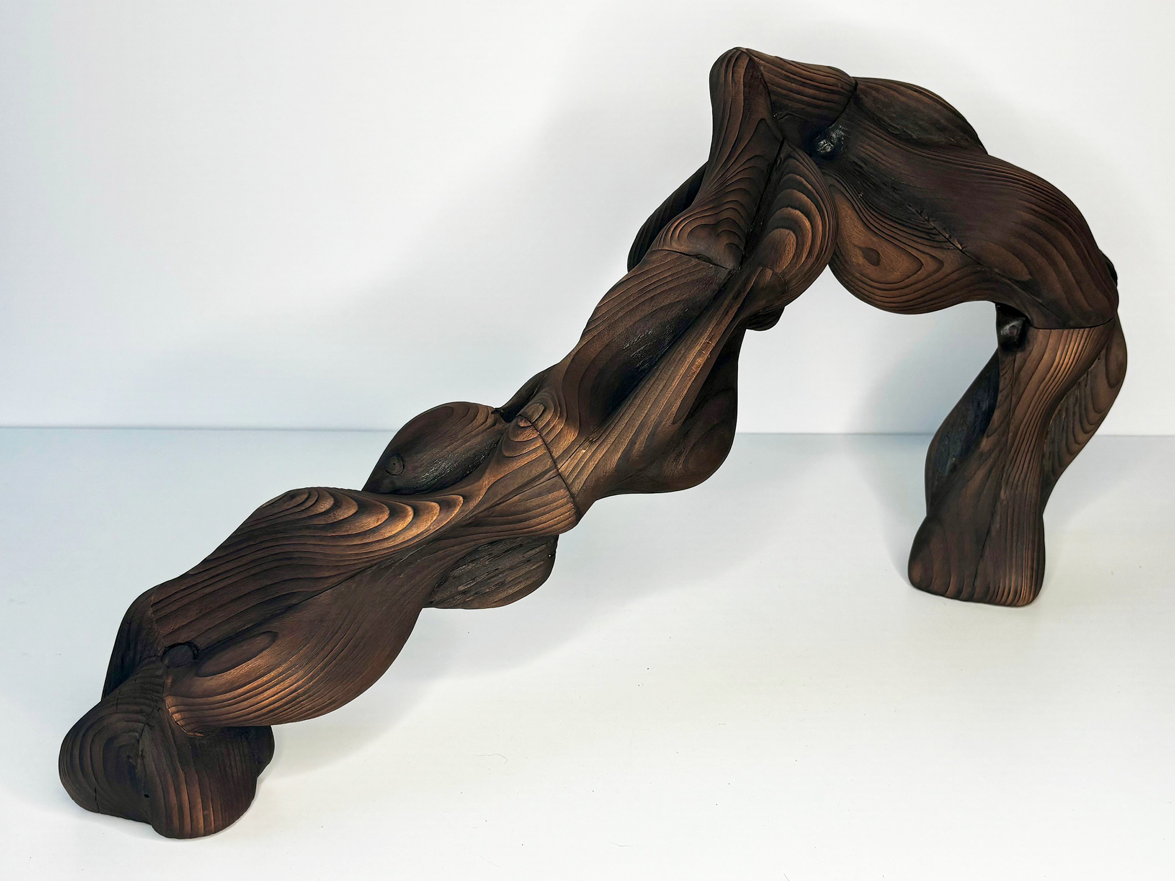 ...Stretch...©Liz Mills, an abstract wooden sculpture that looks like an arched and knobby branch