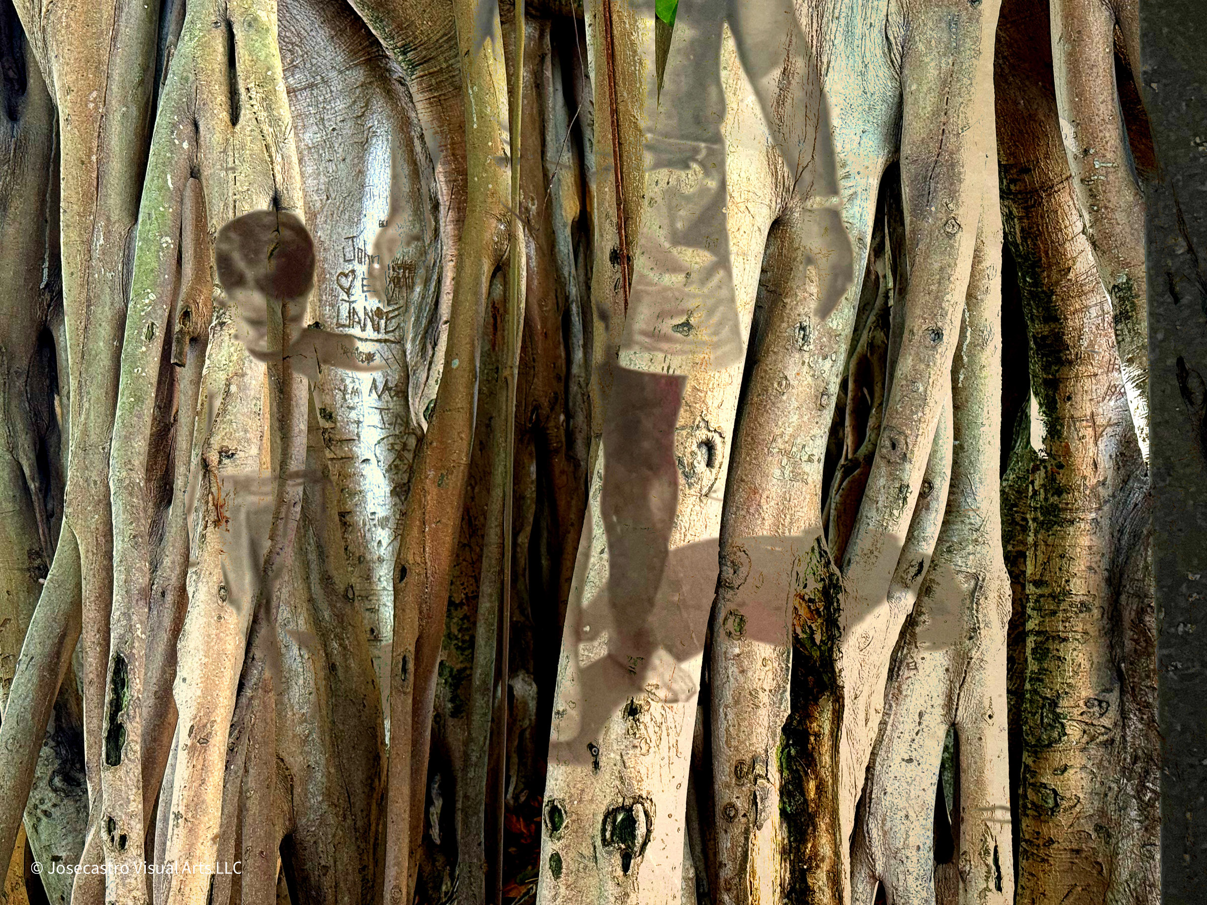 Rooted in memory ©Jose Castro, digitally layered images of a family photography of a child holding a man's hand with a matrix of tree roots.